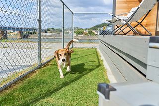 Sumera Resort Minato-image