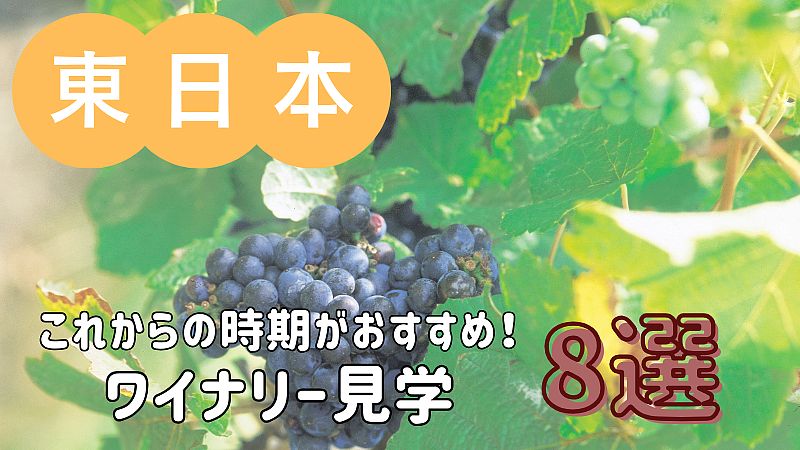 これからの時期がおすすめ!ワイナリー見学 8選/東日本編