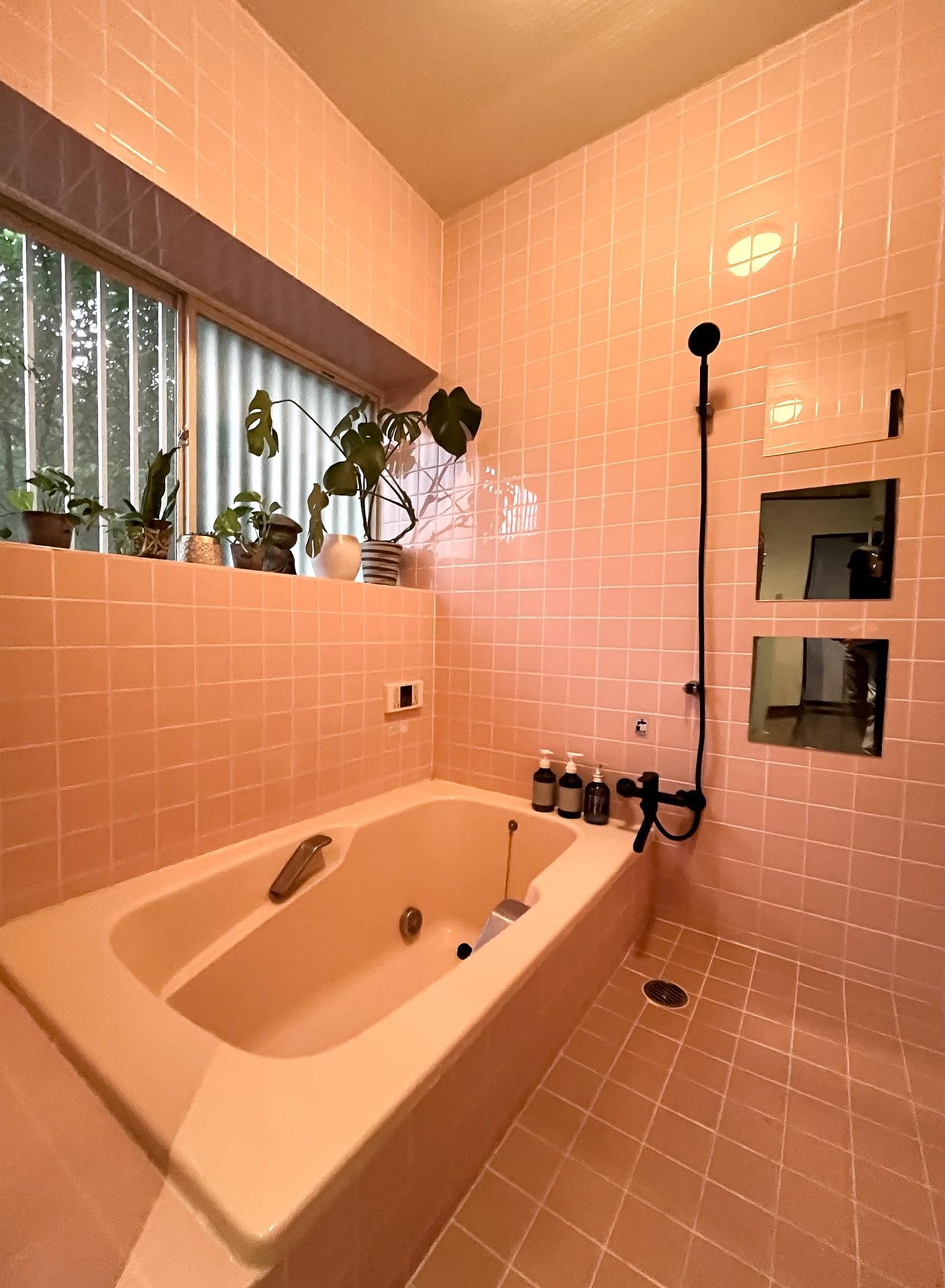 The Blue Moon（Forest 99 3rd）-image