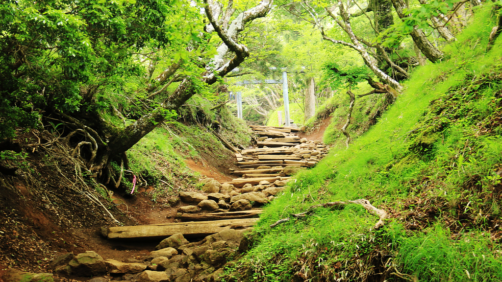 大山登山道