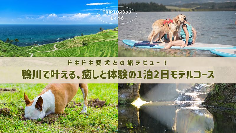 ドキドキ愛犬との旅デビュー!鴨川で叶える、癒しと体験の1泊2日モデルコース