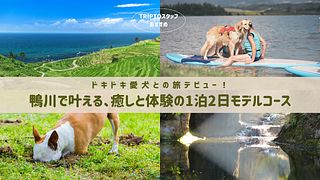 ドキドキ愛犬との旅デビュー！鴨川で叶える、癒しと体験の1泊2日モデルコース
