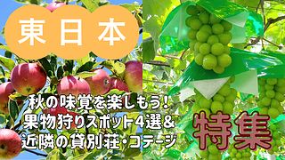 【関東近郊】秋の味覚を楽しもう！果物狩りスポット4選＆近隣の貸別荘・コテージ・一棟貸し