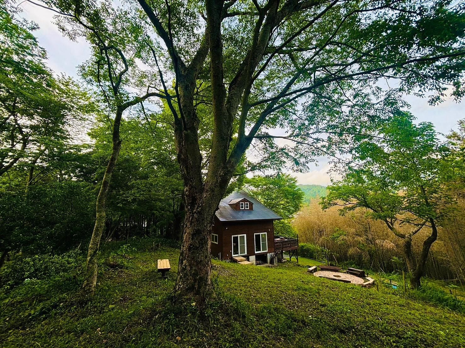 KOZUKA House-image