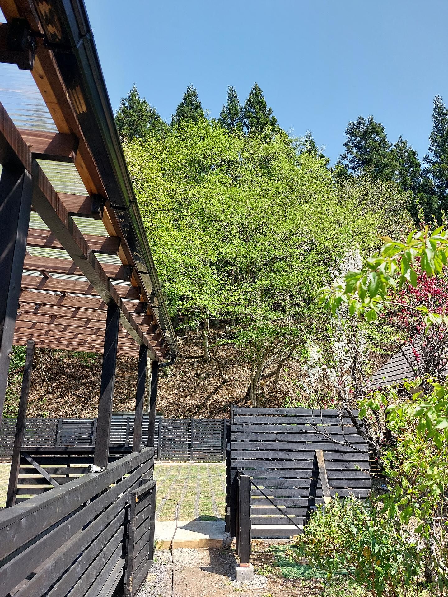 外からドックランへ