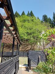 外からドックランへ