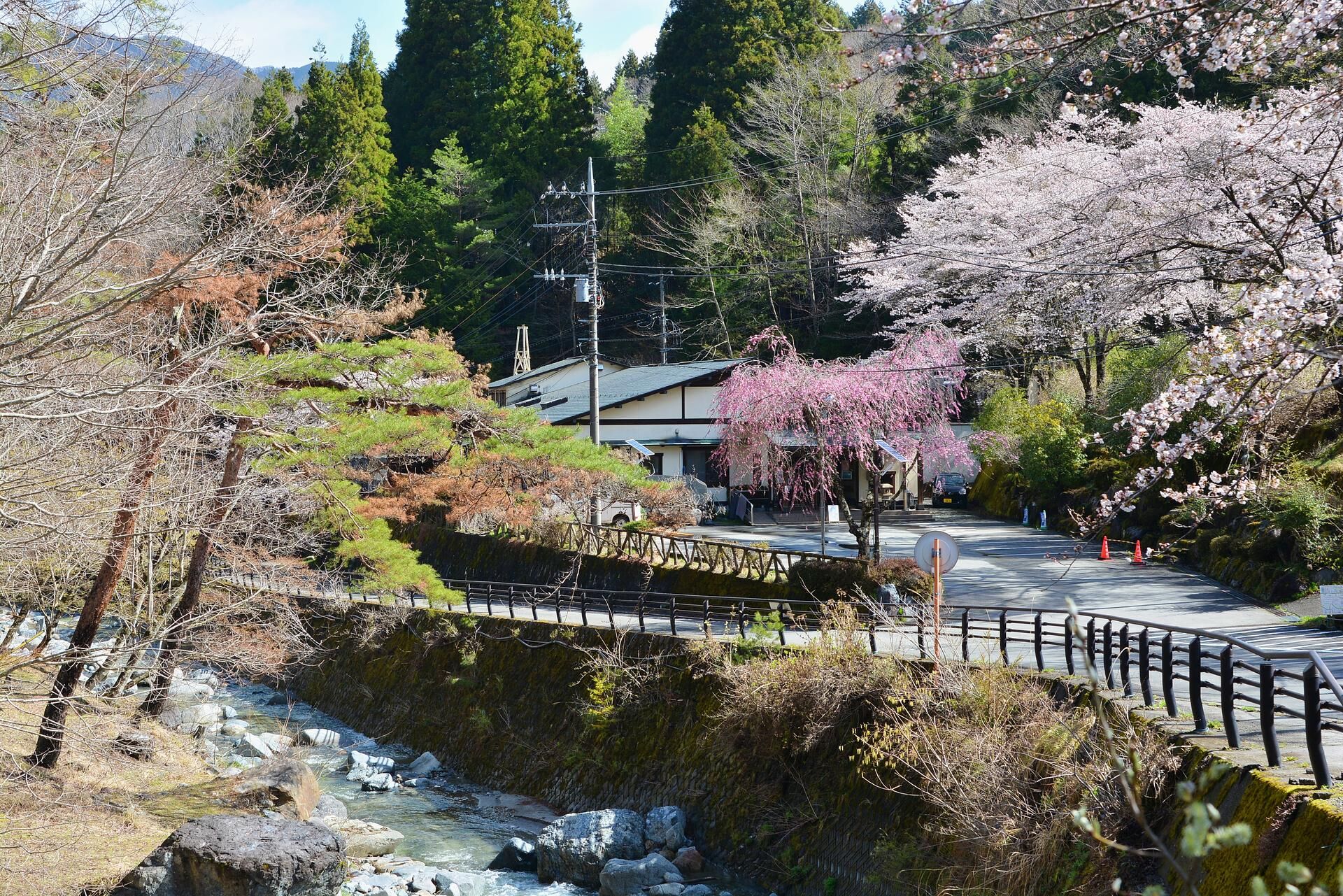 道志の湯　春
