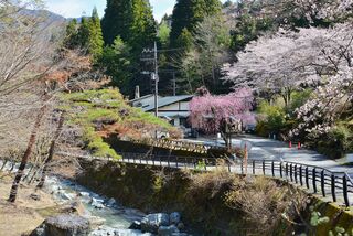 道志の湯 春