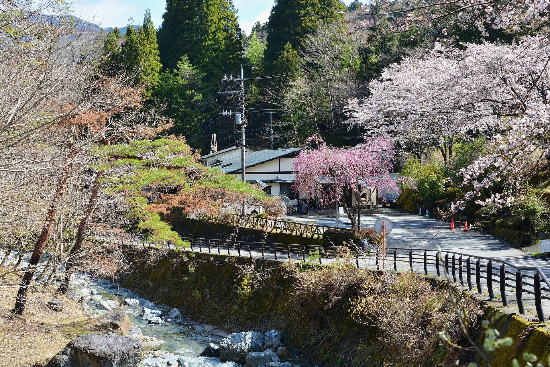 道志の湯　春