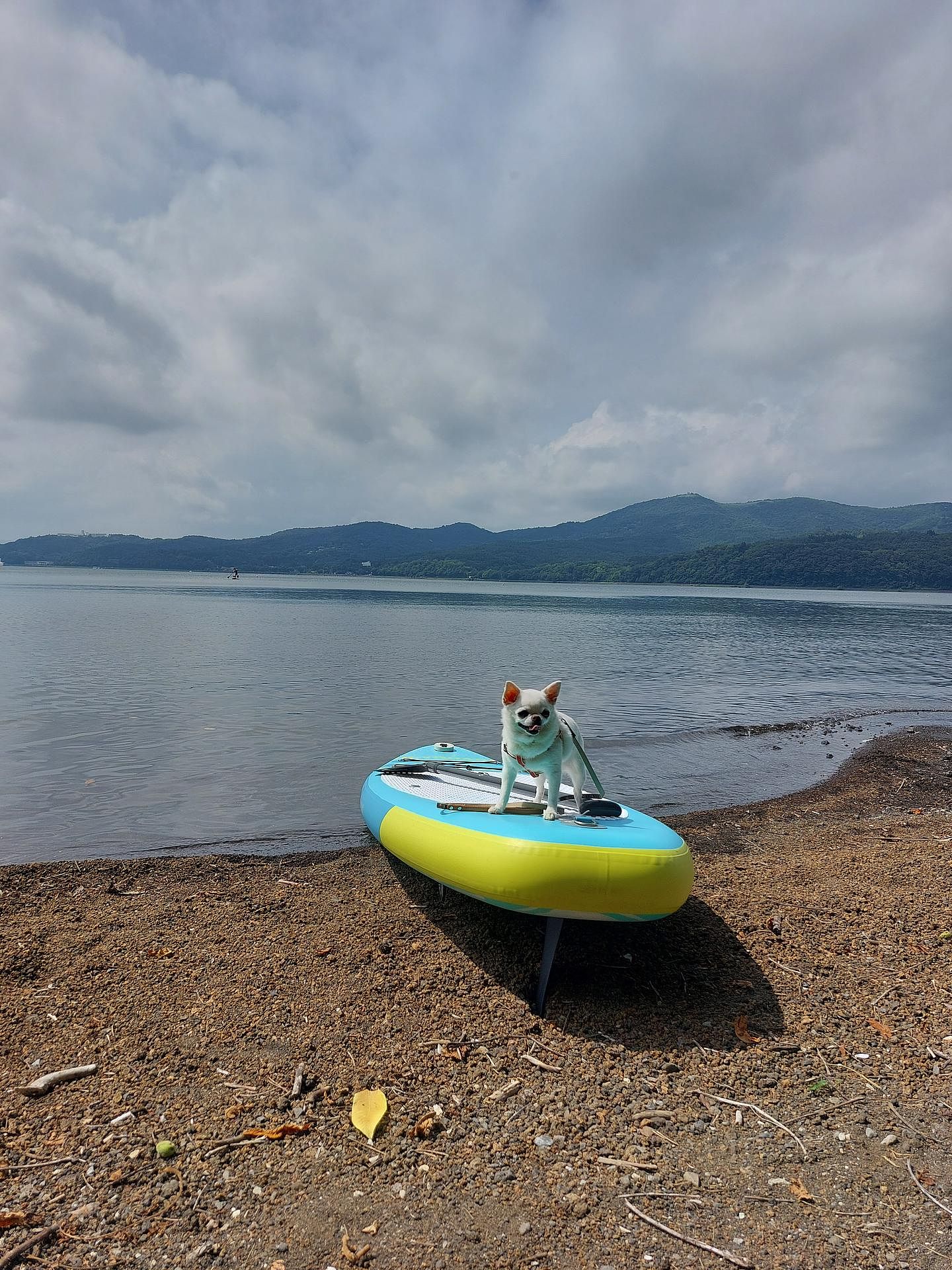 山中湖ドックSUP体験　2名様