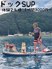 ドックSUP体験