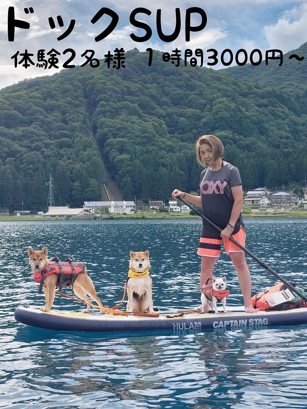 ドックSUP体験