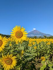 花の都公園