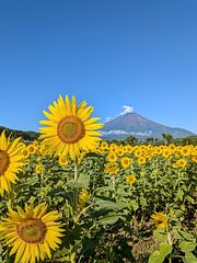 花の都公園