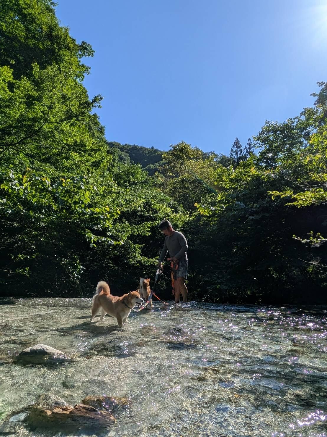 近隣の川遊び