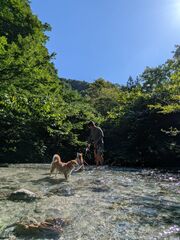 近隣の川遊び