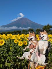 花の都公園