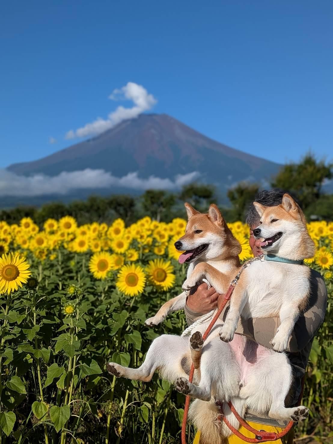 花の都公園