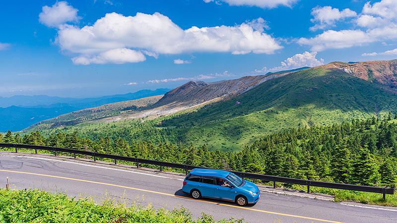 【エリア別】夏のおすすめフルーツ狩りスポット