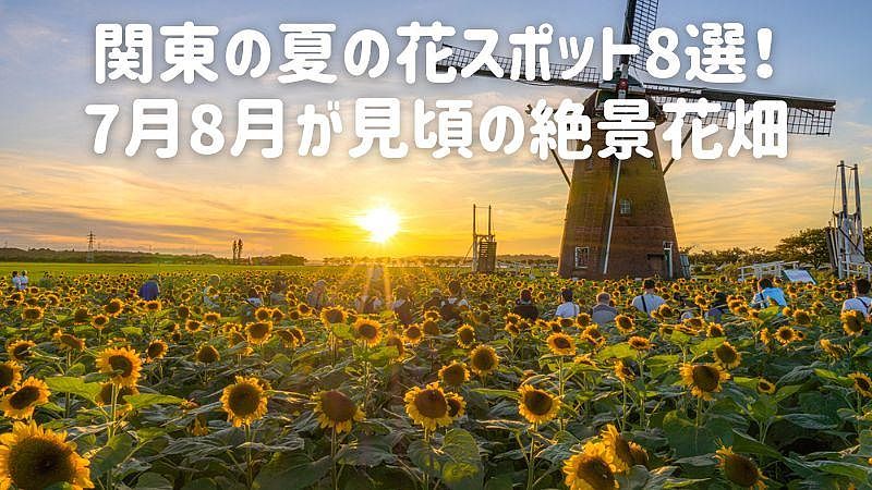 関東の夏の花スポット8選！7月8月が見頃の絶景花畑