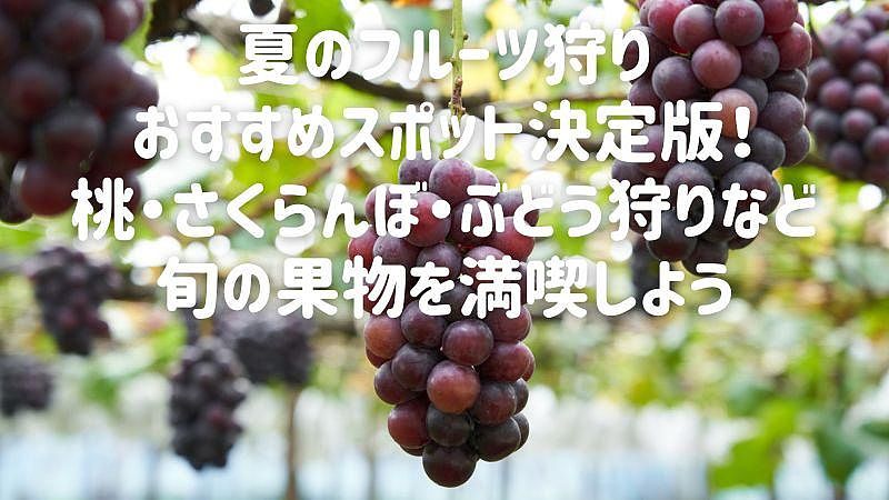 旬のフルーツをその場で味わえる「フルーツ狩り」！全国各地の桃・ぶどう・ブルーベリーなど人気の果物ごとの旬の時期もあわせてご紹介します。