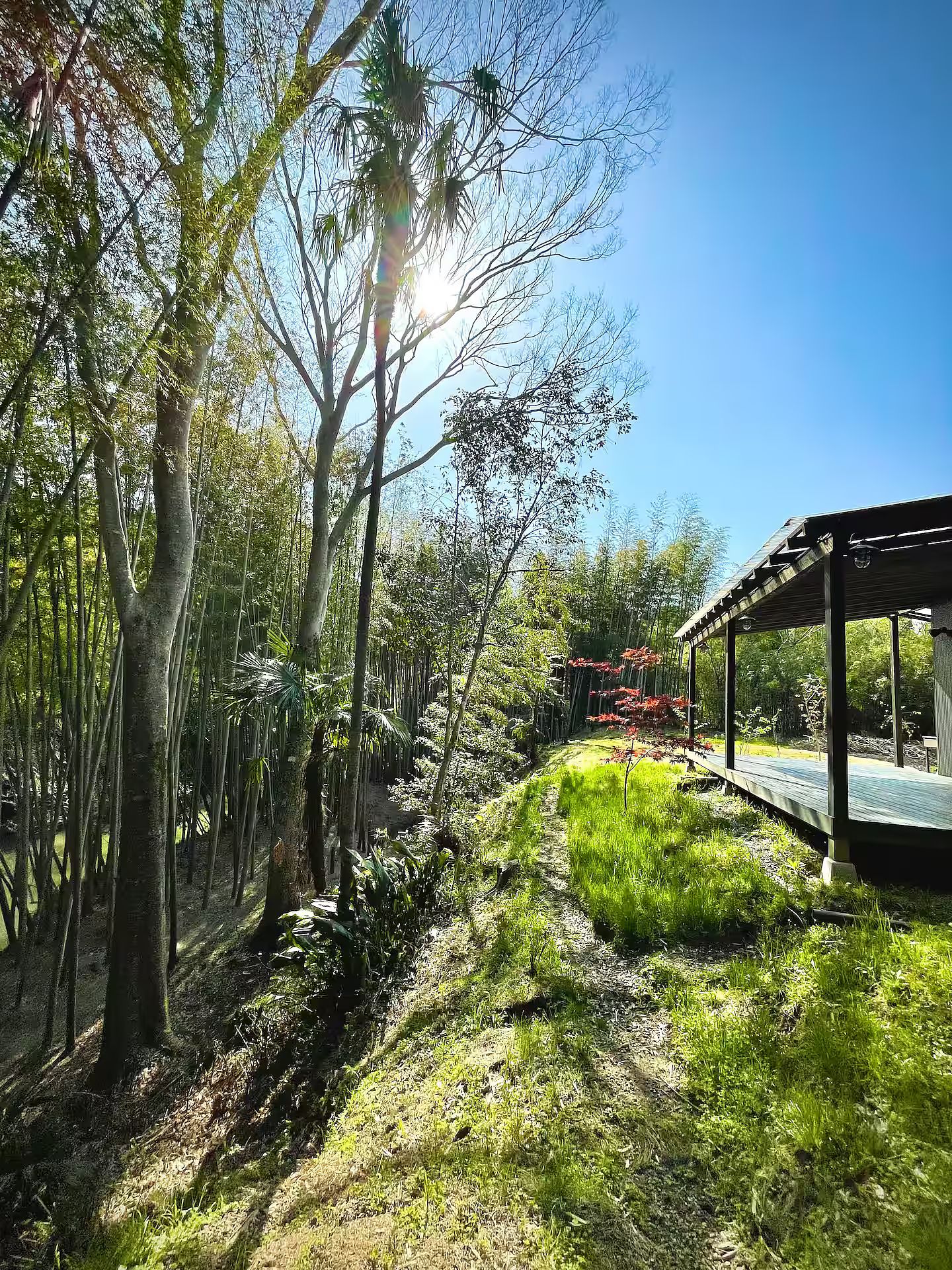 ぐぼうIORI 「離れHOTORI」-image