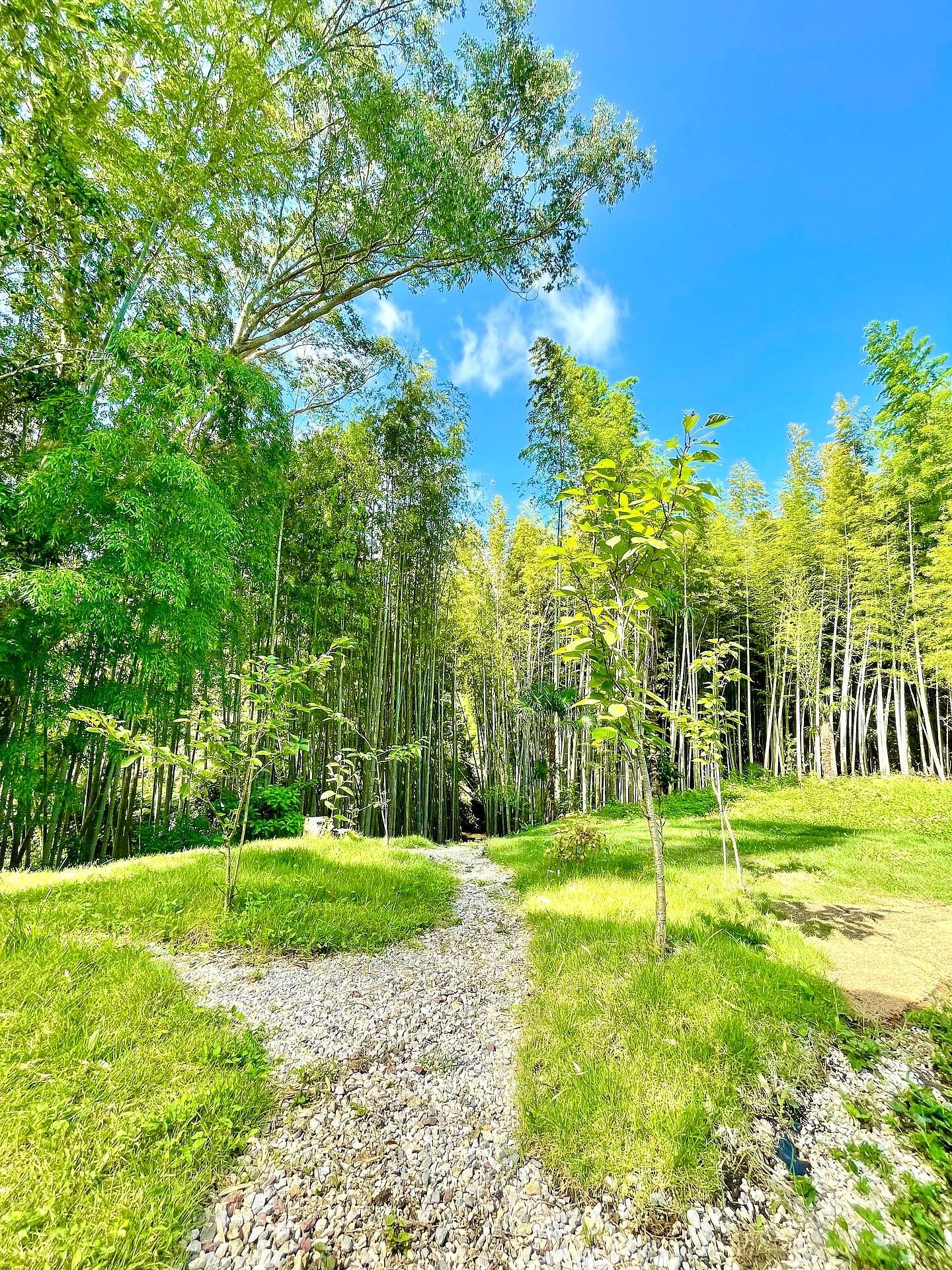 ぐぼうIORI 「離れHOTORI」-image