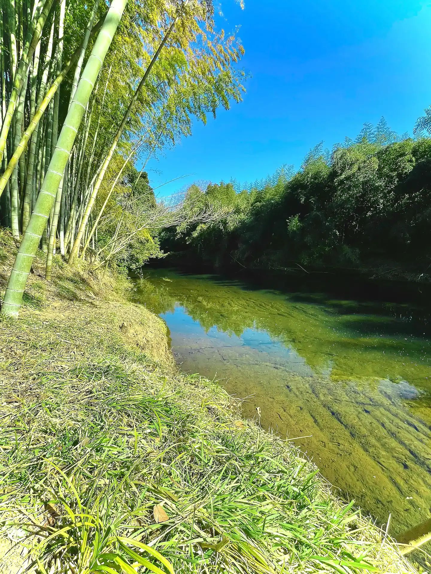 ぐぼうIORI 「離れHOTORI」-image