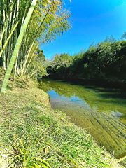 ぐぼうIORI 「離れHOTORI」-image