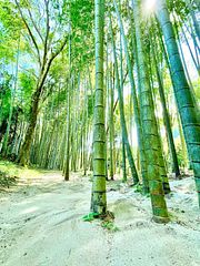 ぐぼうIORI 「離れHOTORI」-image