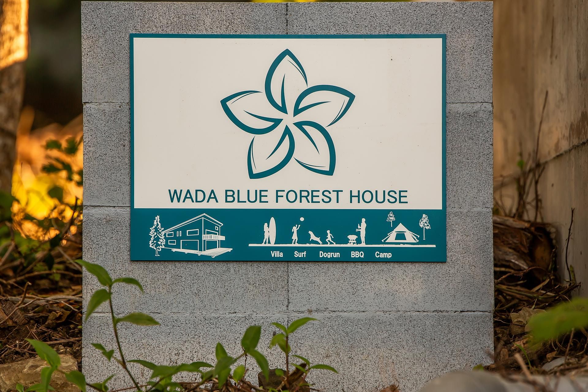 自然をたくさん遊ぶ施設です