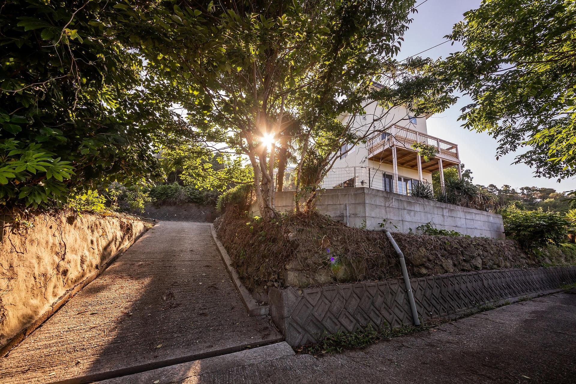 入口のスロープを越えたら贅沢な自然を満喫できます