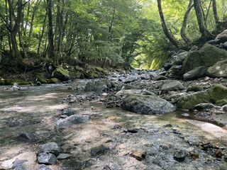 川沿いに椅子を持ってきてチェアリングもいいかも!