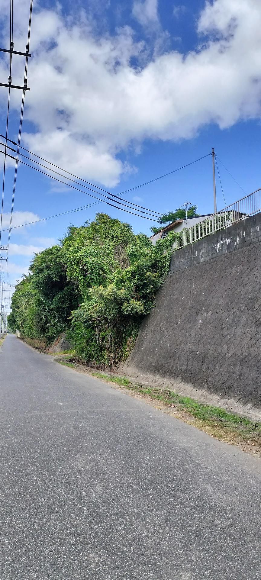 貸別荘　Forest-image