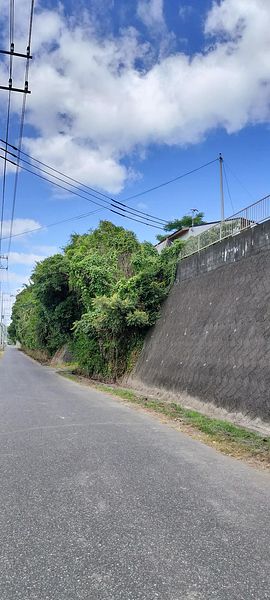 貸別荘　Forest-image