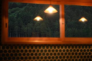 キッチンから望む森。