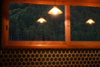 キッチンから望む森。