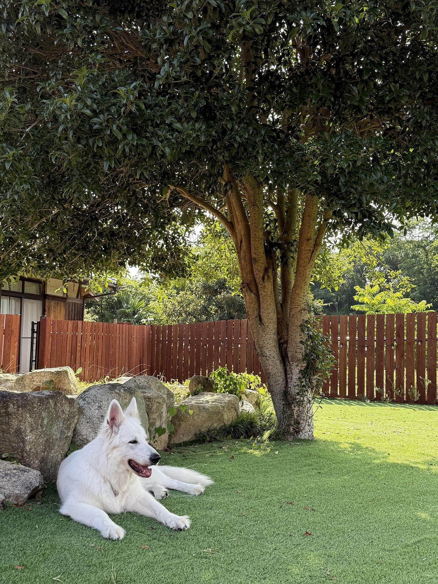 いろどり荘-image