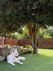 いろどり荘-image