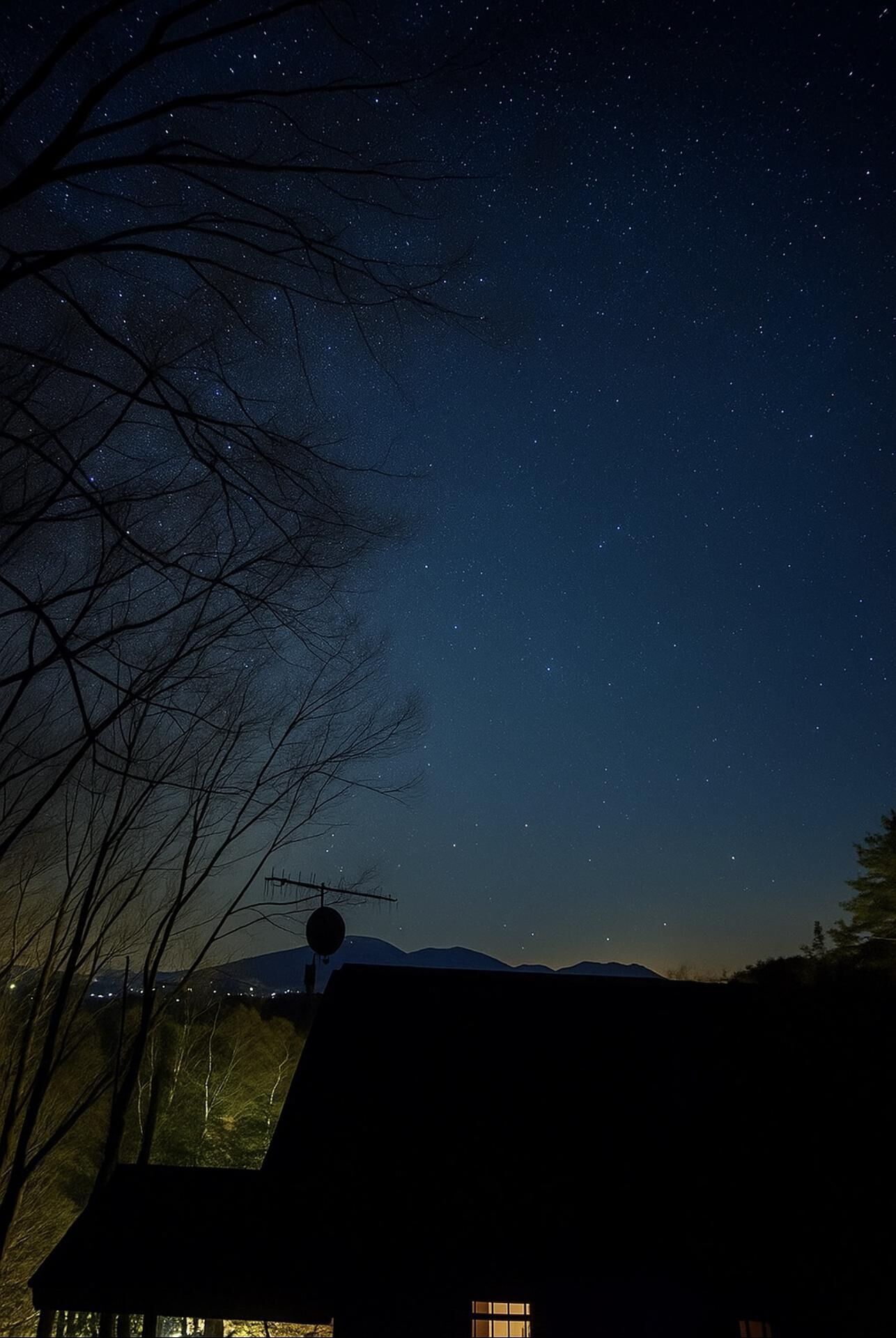 夜は満点の星空が見れます