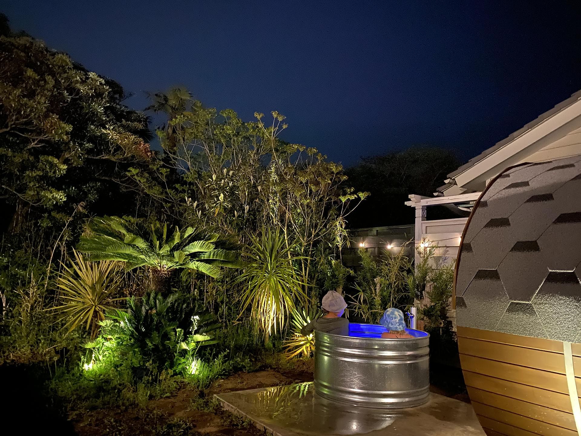 naminone-Torami-image