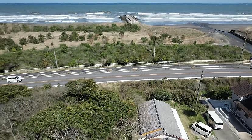 naminone-Torami-image