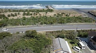 naminone-Torami-image