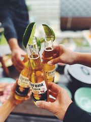 naminone-Torami-image