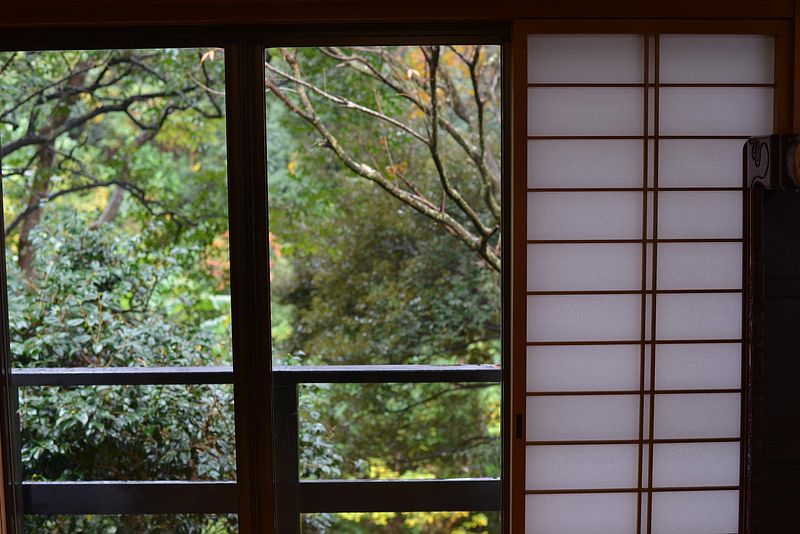 居間からの景色