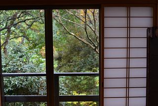 居間からの景色