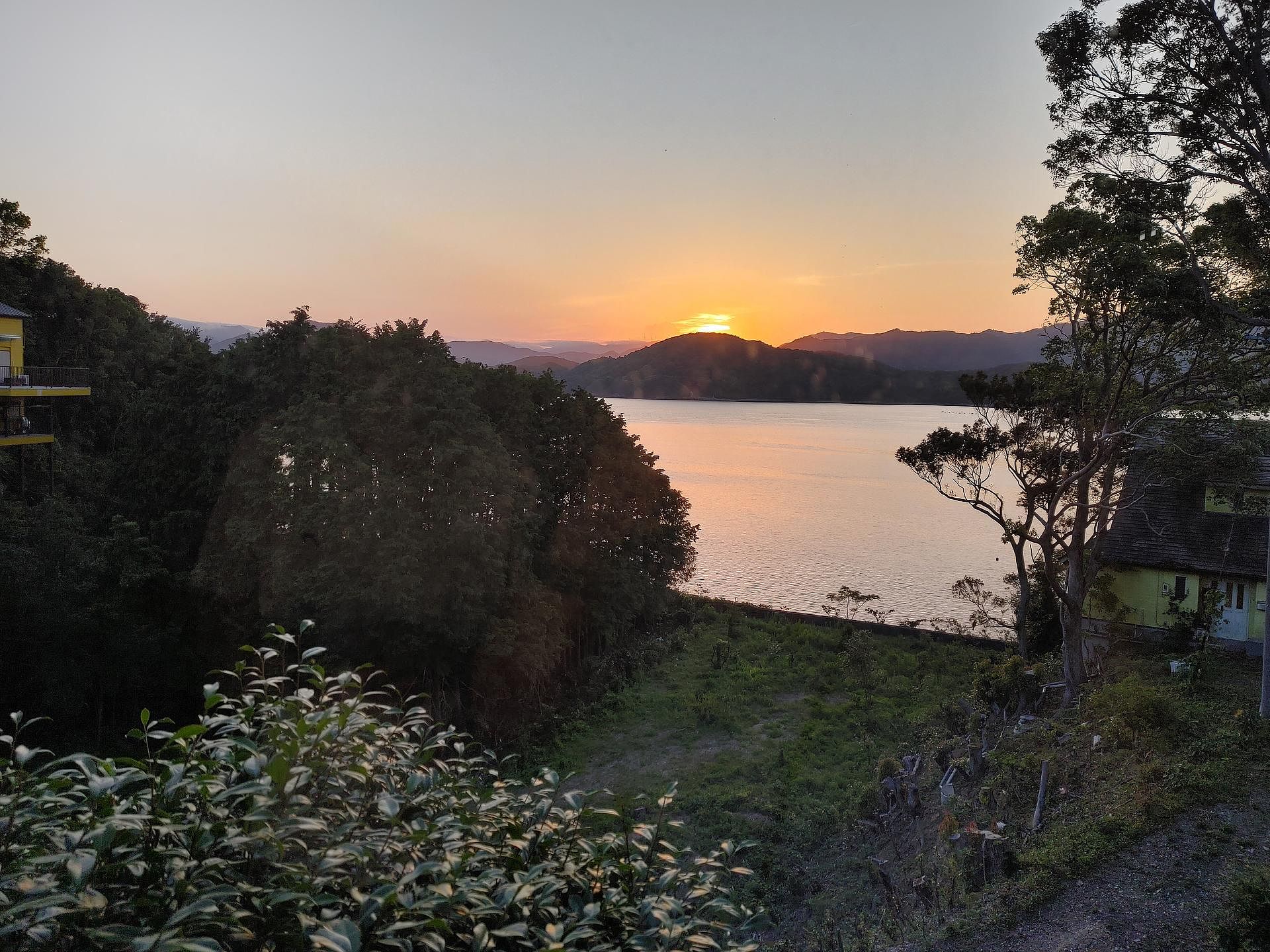 居間からの景色