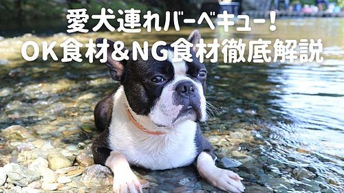 愛犬連れバーベキュー！OK食材＆NG食材徹底解説