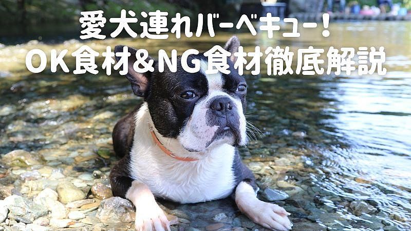 愛犬連れバーベキュー！OK食材＆NG食材徹底解説