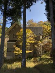 宿の紅葉